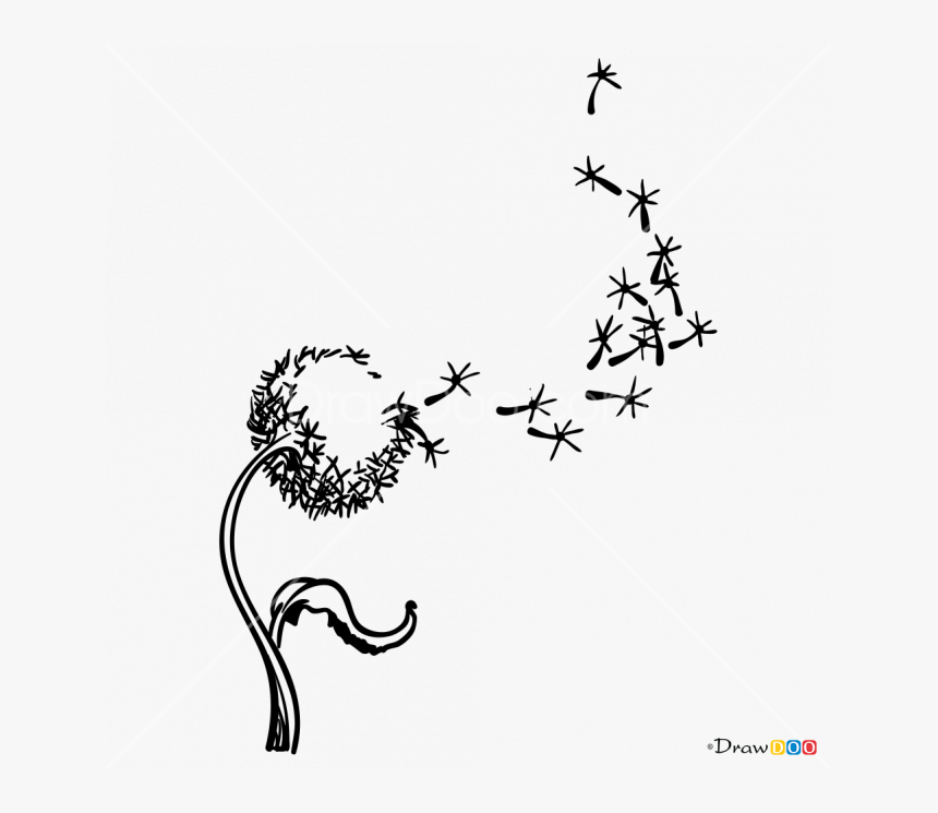 665 X 665 - Dandelion Flowers Draw, HD Png Download