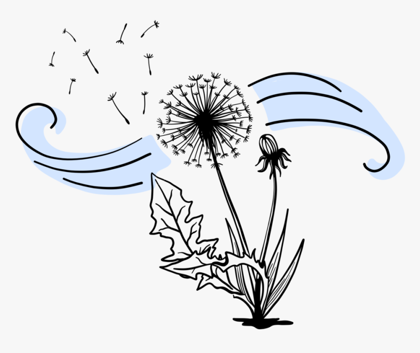 Dandelion - Illustration, HD Png Download