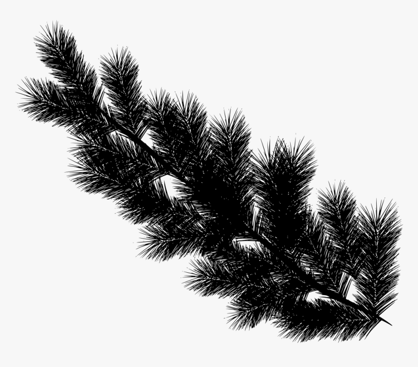 Transparent Advent Wreath Png - Pine Tree Leaves Png, Png Download