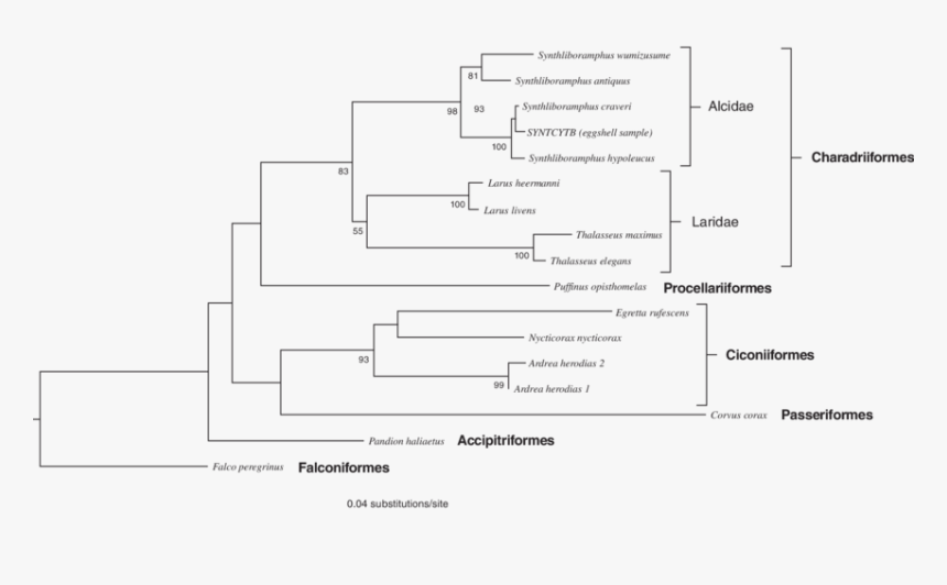 Diagram, HD Png Download