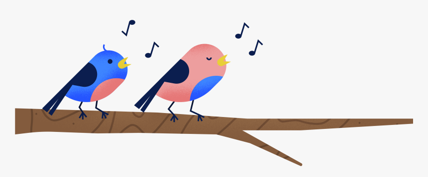 Mountain Bluebird, HD Png Download