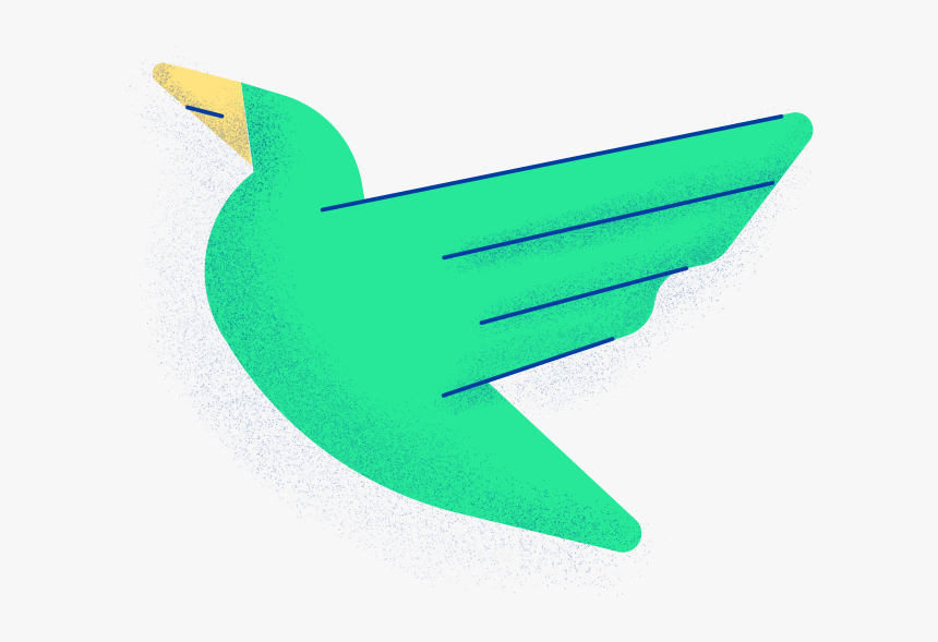 Duck, HD Png Download