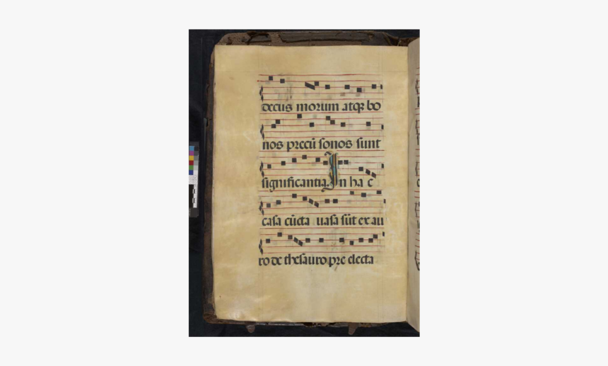 Mcdonnell Douglas F-15 Eagle, HD Png Download