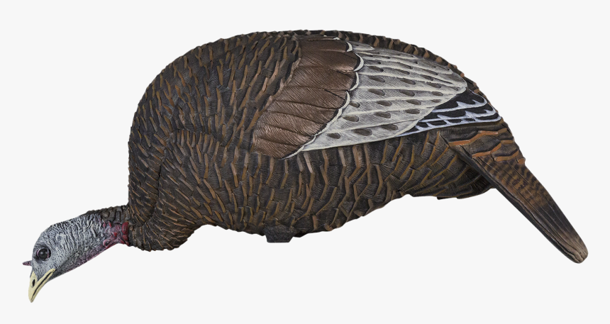 Flextone Thunder Chick Hen Decoy, HD Png Download