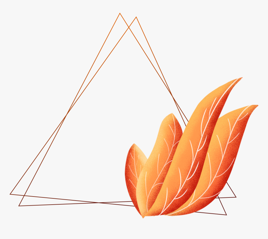 Hand Drawn Plants Borders Coral Orange Leaves Png And - Illustration, Transparent Png