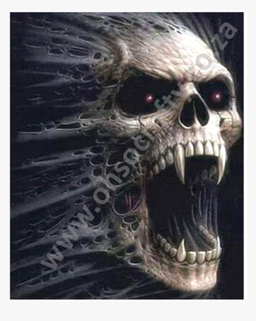 Skull, HD Png Download
