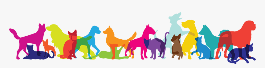 Multicolor Pets - Cartoon, HD Png Download