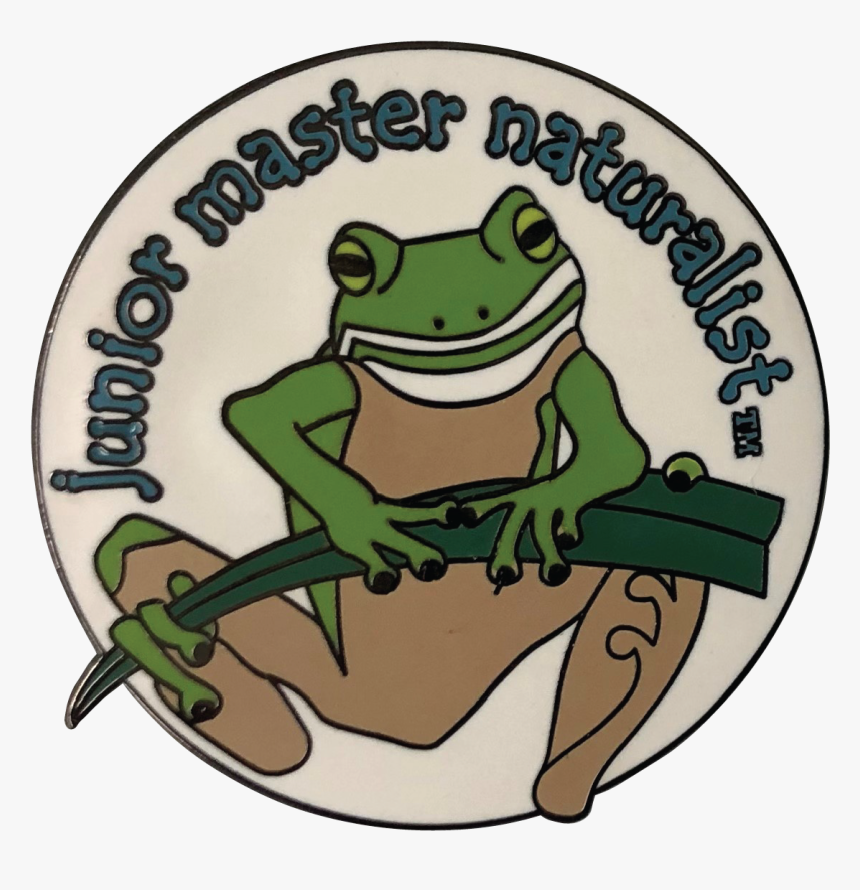 Wood Frog, HD Png Download