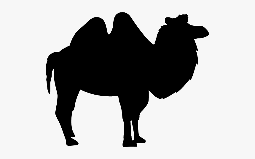 Silhouette Of Animals, HD Png Download