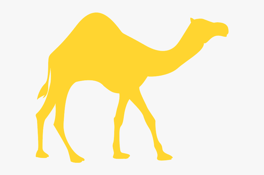 Arabian Camel, HD Png Download
