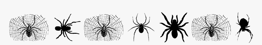 Insect, HD Png Download