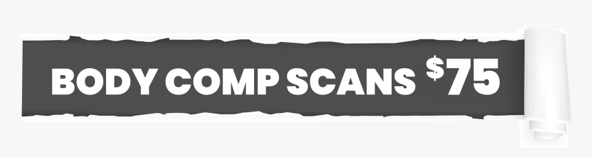 Dxa Body Comp - Banner, HD Png Download