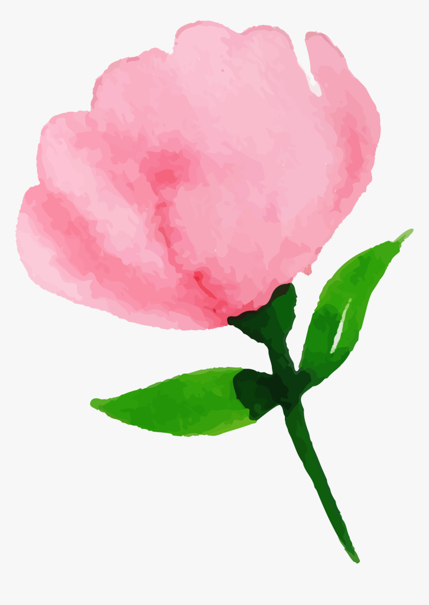 Garden Roses, HD Png Download