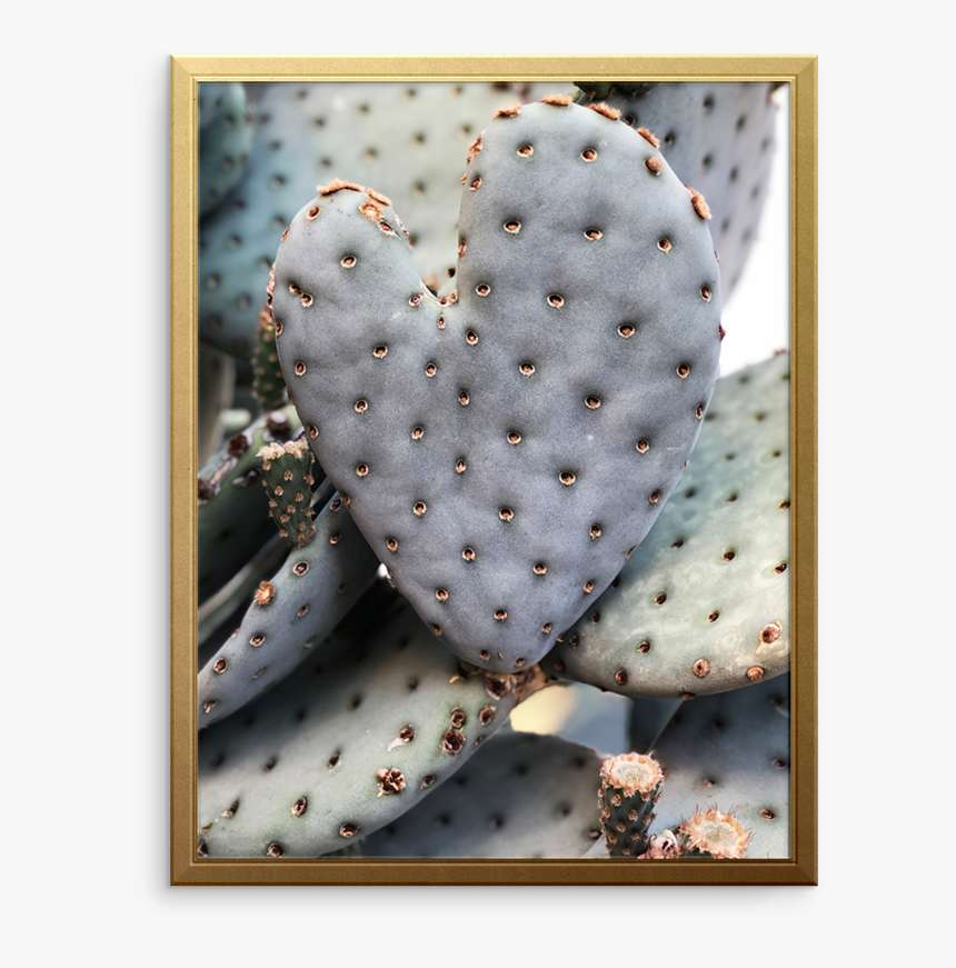 Cactus Hearts Art Print - Barbary Fig, HD Png Download