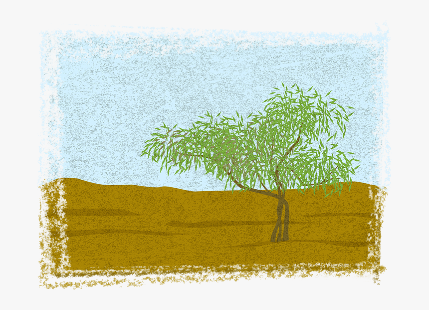Transparent Grass Drawing Png - Grass, Png Download
