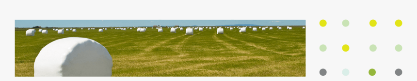 Top Image - Lawn, HD Png Download