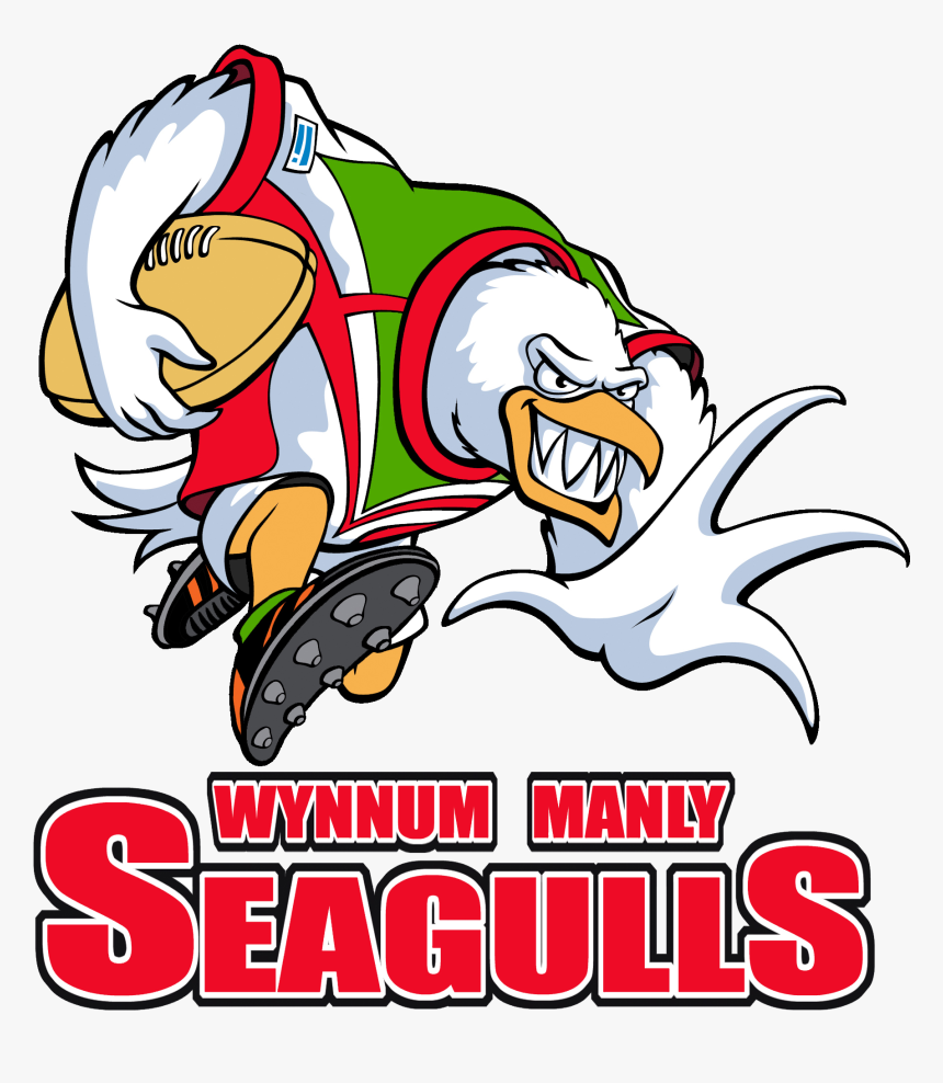 Logopedia - Wynnum Manly Seagulls Logo, HD Png Download