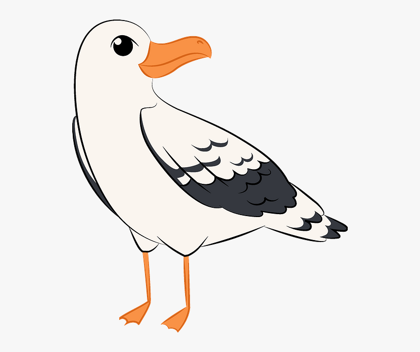 Clip Art, HD Png Download