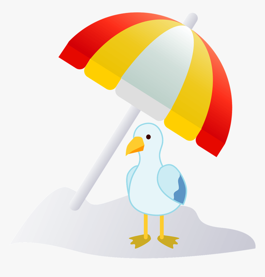 Duck, HD Png Download