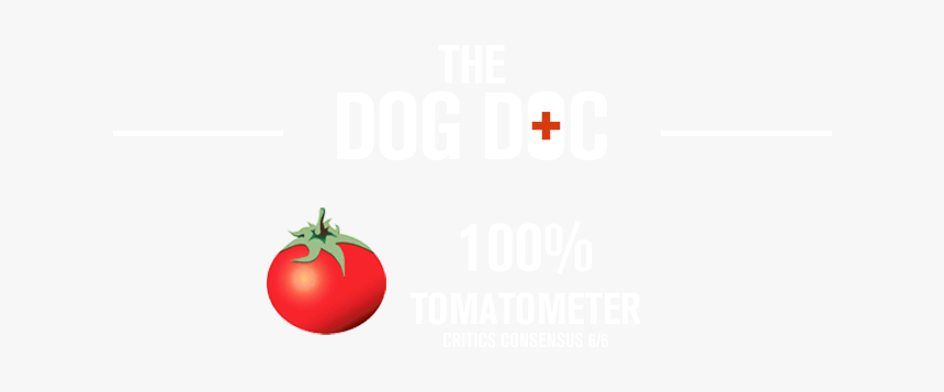 Rotten Tomatoes - Cherry Tomatoes, HD Png Download