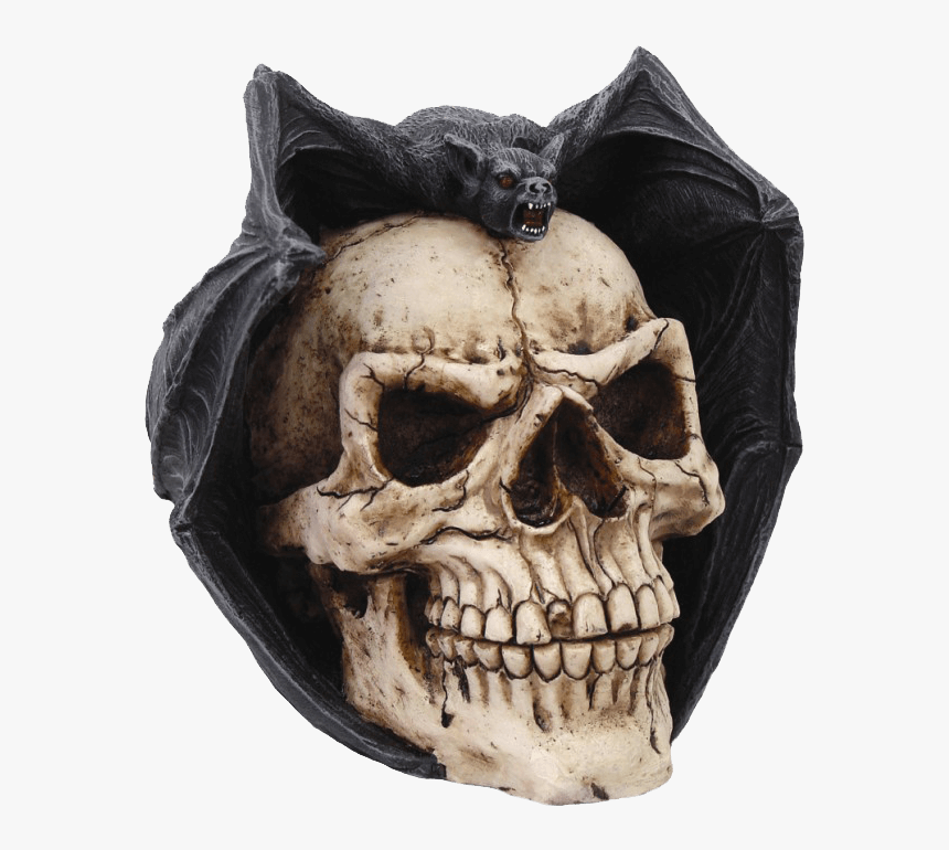 Skull, HD Png Download