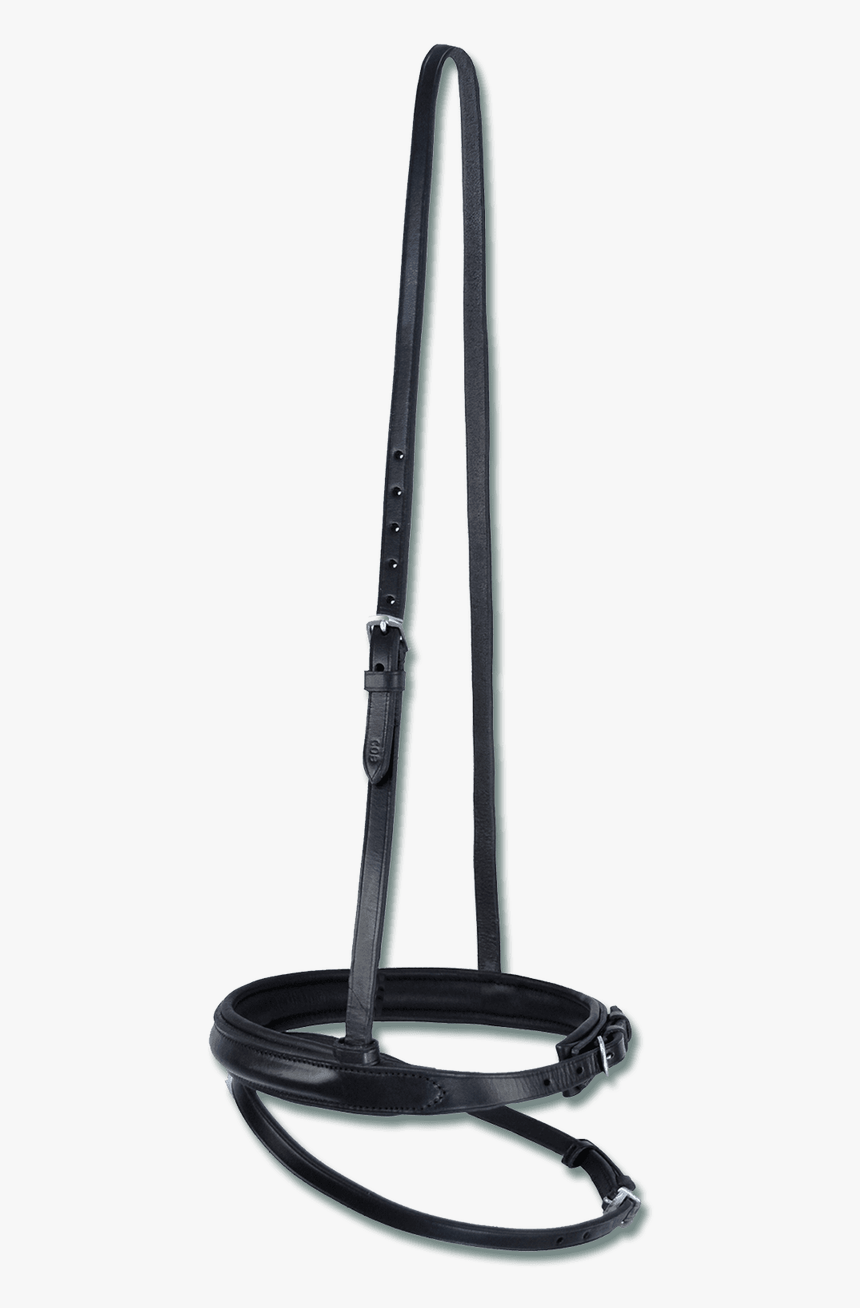 Star Raised Noseband With Flash - Noseband, HD Png Download