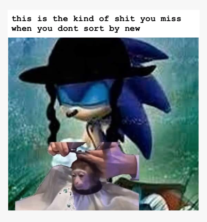 Sonic The Hedgehog Jewish, HD Png Download