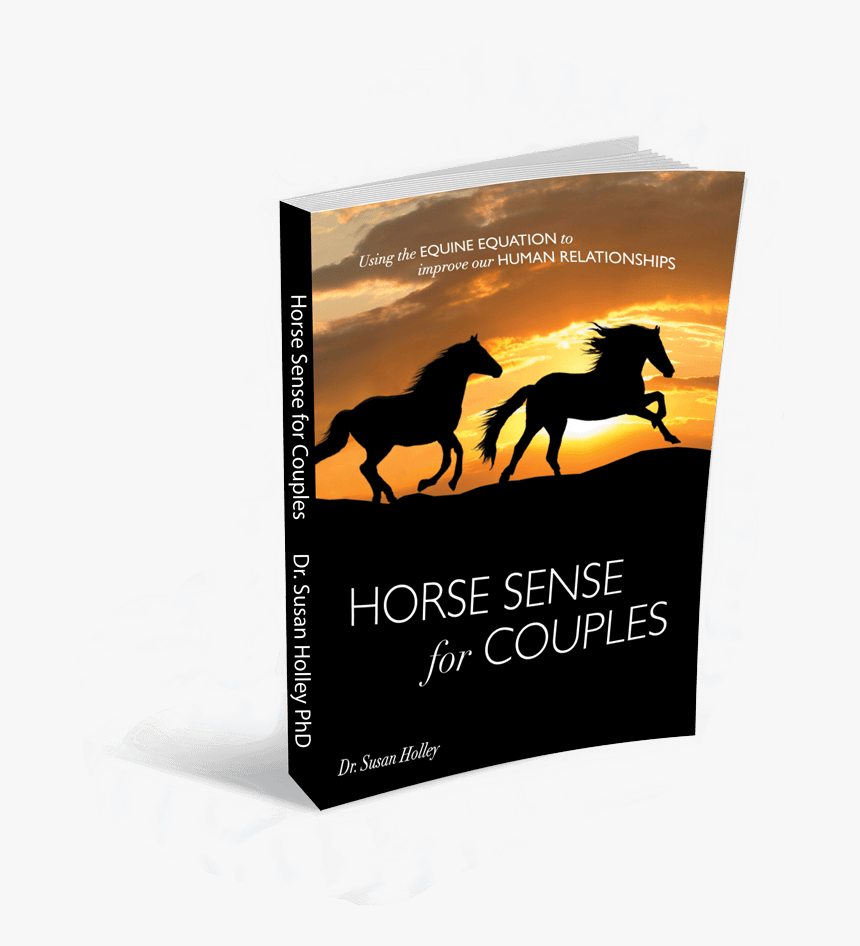 Susan Holley Paperback Book - Stallion, HD Png Download