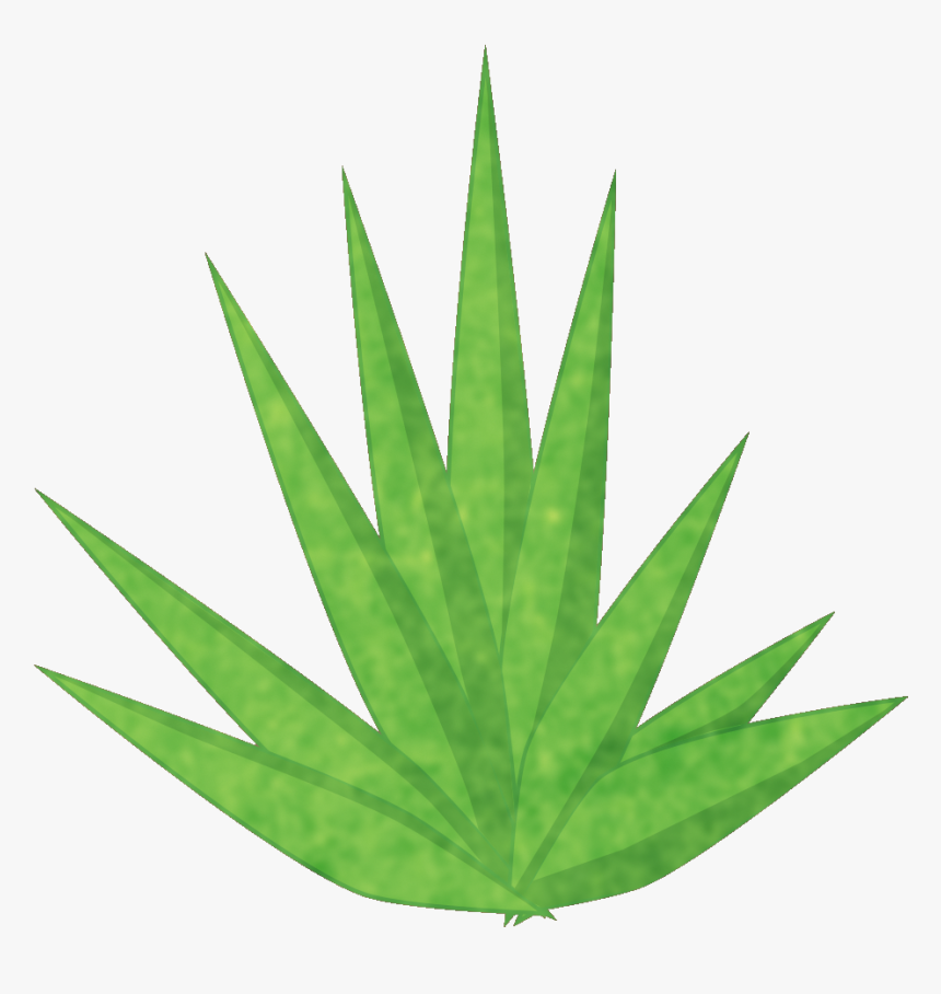 Transparent Yucca Plant Png - Cannabis, Png Download