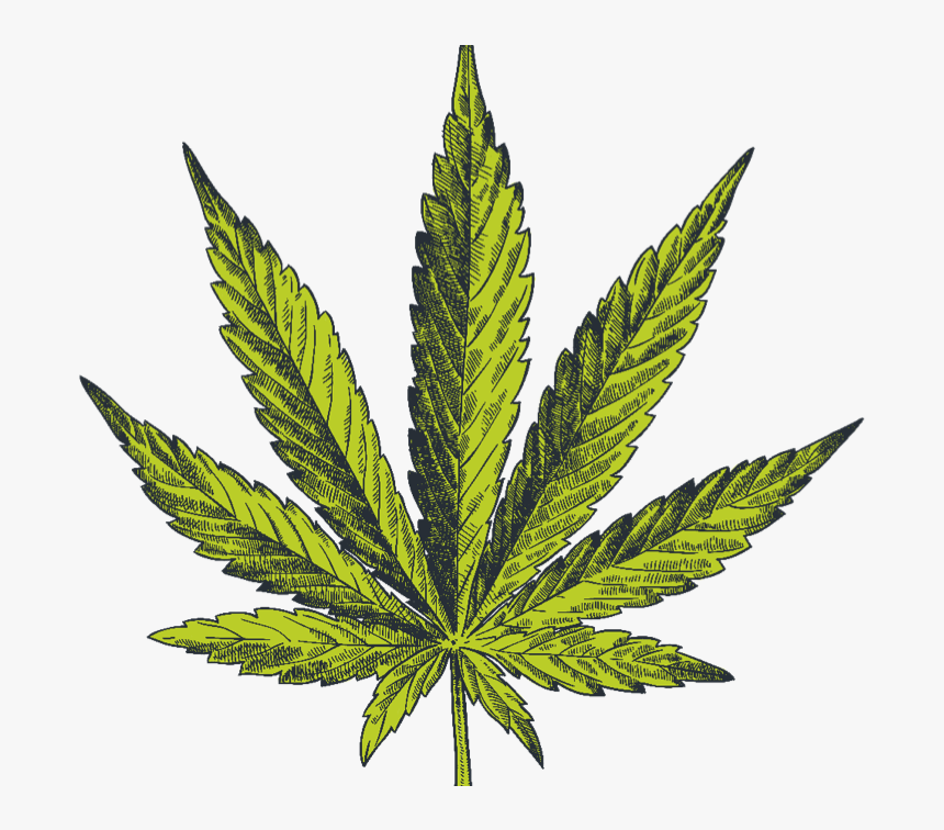 What Makes Cannabis So Effective - Marijuana Leaf, HD Png Download