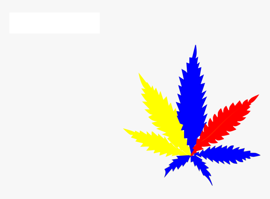 Plant,leaf,symmetry - Cannabis Black, HD Png Download