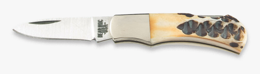 Bear - Utility Knife, HD Png Download