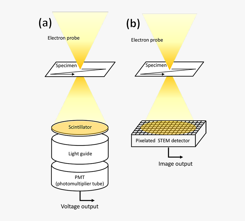 Tem Scintillator, HD Png Download