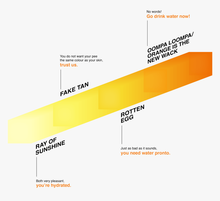 Diagram, HD Png Download