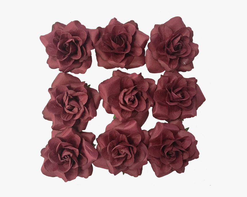 Floribunda, HD Png Download