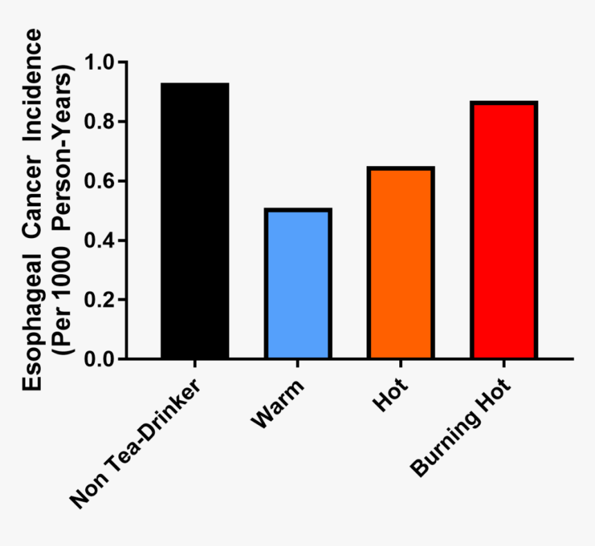 Data 2 - Esophageal Cancer Graph, HD Png Download