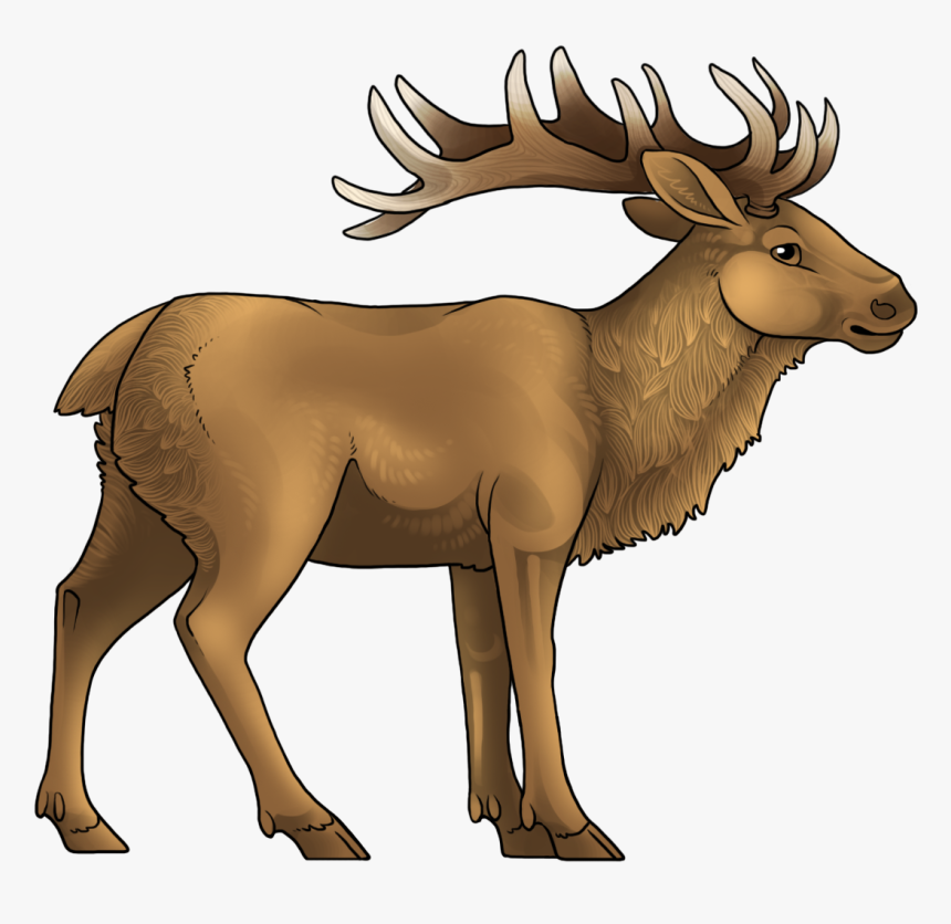 Cartoon, HD Png Download