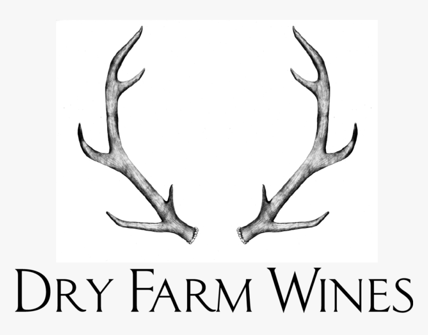 Antler, HD Png Download