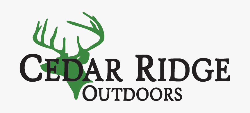 Deer, HD Png Download