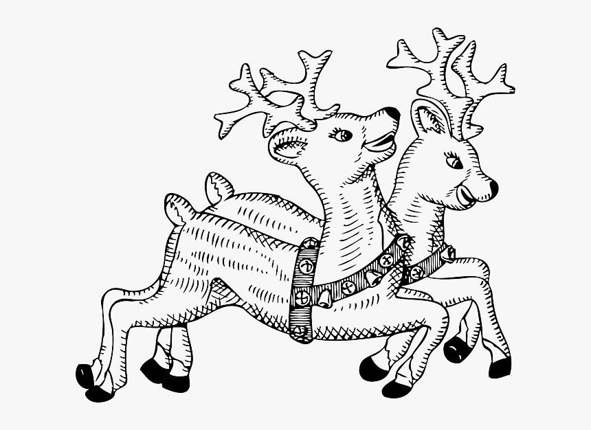 Animals, Cartoon, Deer, Template, Fly, Flying - Reindeers Clipart Black And White, HD Png Download