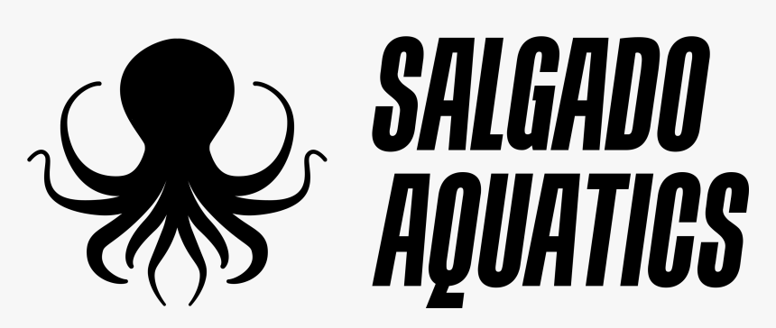 Octopus, HD Png Download