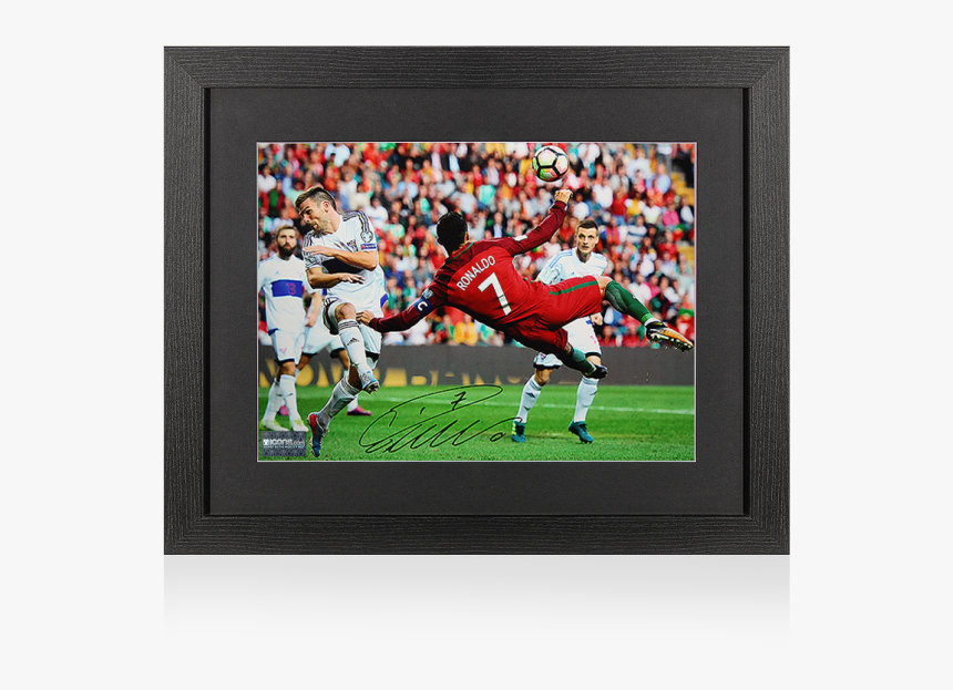 Portugal Vs Faroe Islands, HD Png Download