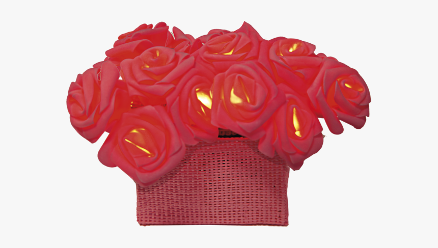 Light Chain Rosebush - Rose, HD Png Download