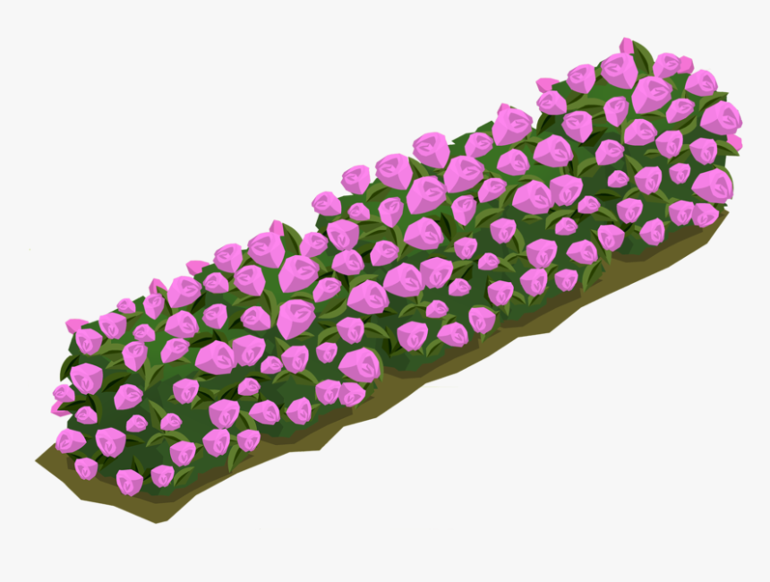 Rose Bush - Weightlifting Shoe, HD Png Download