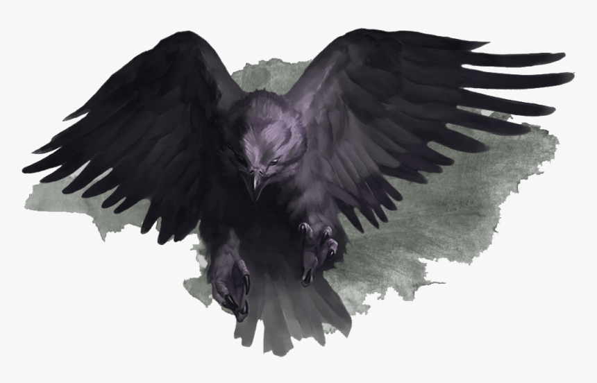 Bird Of Prey, HD Png Download