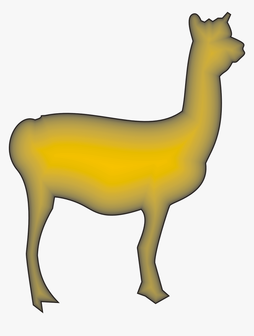 Llama Animal Camelid Free Photo - Camelidos Png, Transparent Png