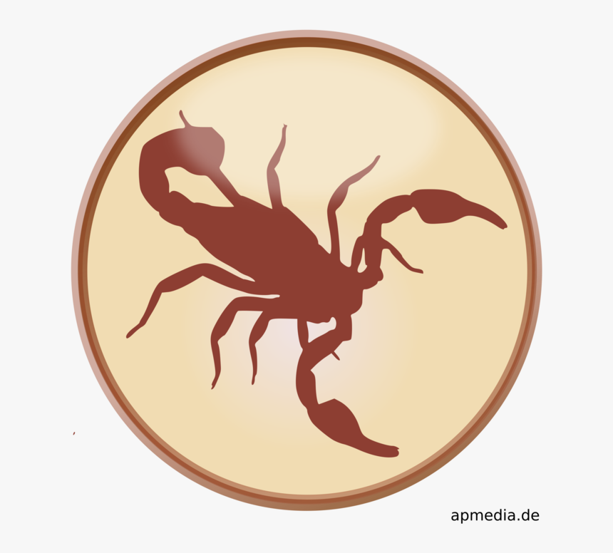 Scorpione Segno Zodiacale Stilizzato, HD Png Download