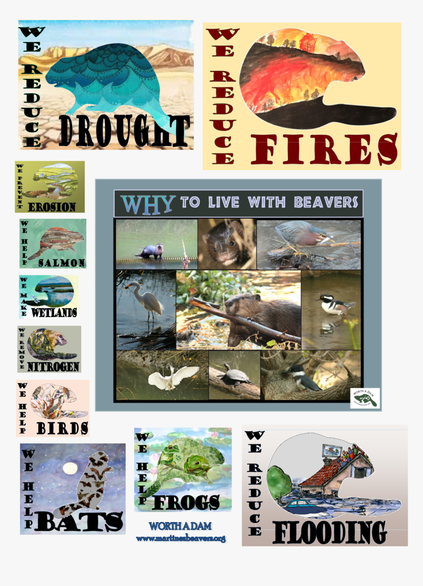 Poster, HD Png Download