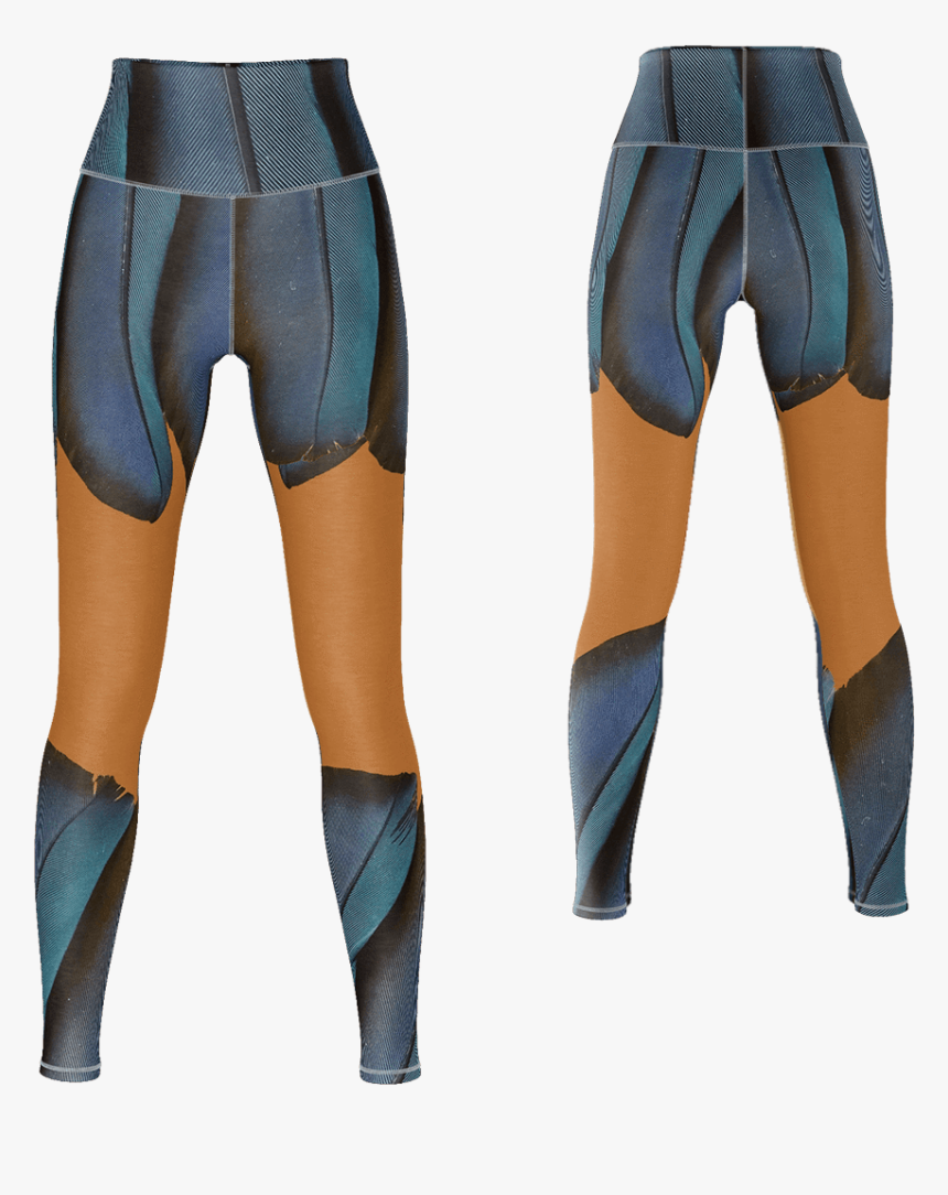 Wetsuit, HD Png Download