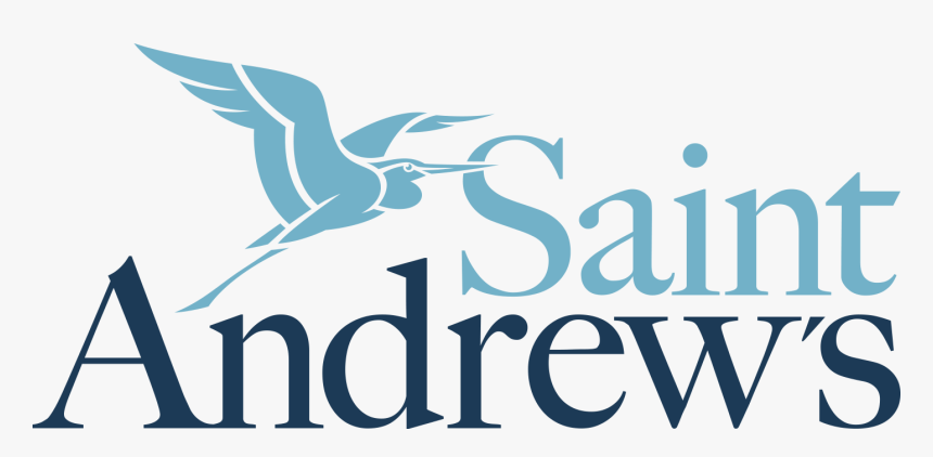 Seabird, HD Png Download